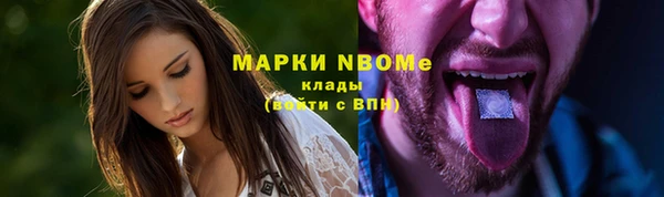 прущие грибы Алексеевка