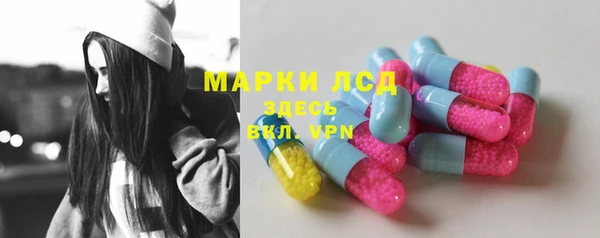 прущие грибы Алексеевка