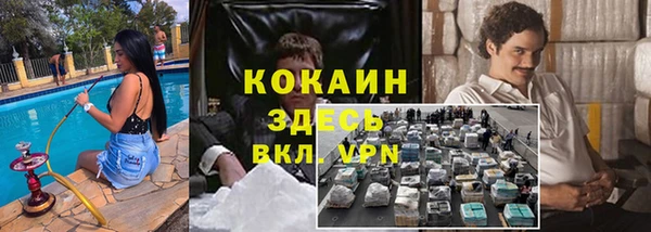 мяу мяу мука Алексин